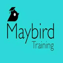 Maybird Training